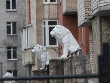 ��� ������� ������ �������? 