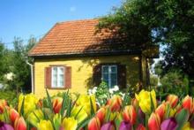 ����� � ������� - ����� ����������� ������� 