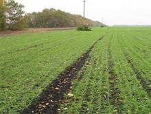 ������ � ������ ��� ���������� �����? 