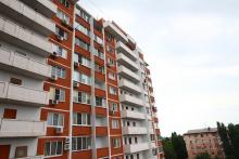 ���������� ���������� ����� ����������� � �������� ������� � 2019 ����