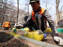 � �� ��������� 21/19� ������ ������ ���������