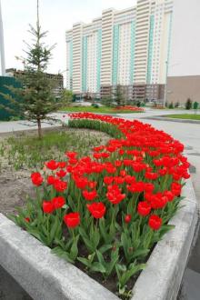 ������ ���������� ��������� 