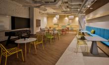 � 2019 ���� ���������� ������-������ ������ � ������� ���� �������